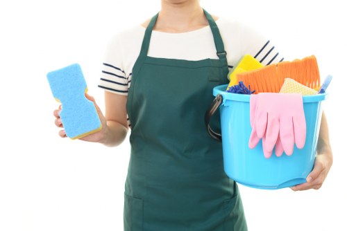 Secure Mayfair Cleaner payment page on a laptop with protected checkout symbols