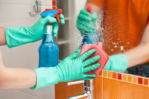 Cleaning professional preparing safe equipment and products