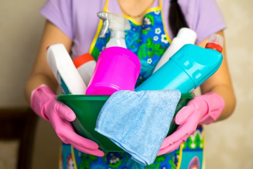 Illustration of accessible website content for Mayfair Cleaner