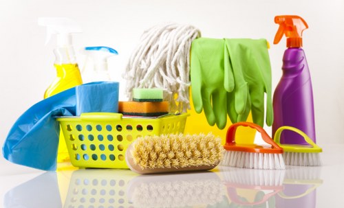Refined cleaning process in a high-standard Mayfair property