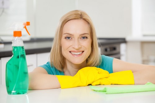 Detailed cleaning service work showing polished surfaces and careful attention