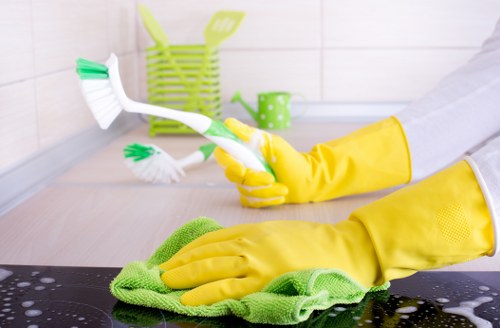 Deep cleaning service for a Mayfair apartment interior