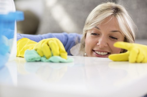 Reliable Mayfair cleaner ensuring a spotless luxury space