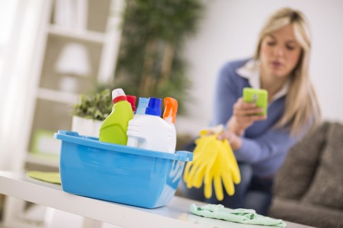 Elegant Mayfair property cleaned by professional cleaners