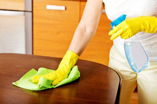 Detailed Mayfair office cleaning for premium workspace