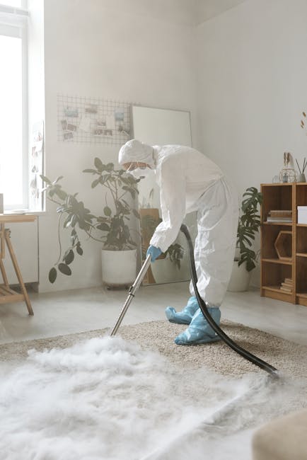 Urgent same-day carpet cleaning for Mayfair spills image